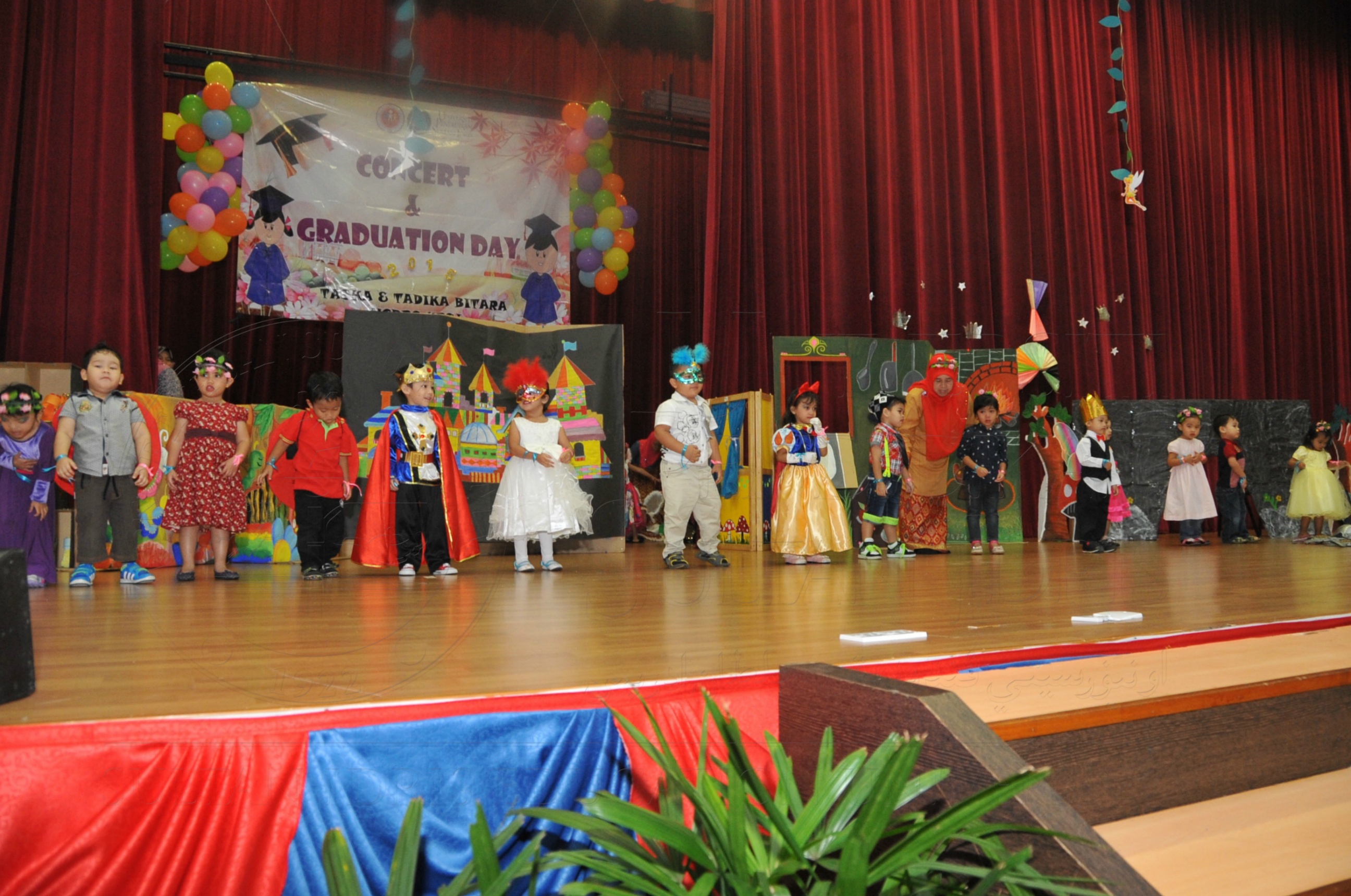 PRO15 163 KONVO HAS 0546